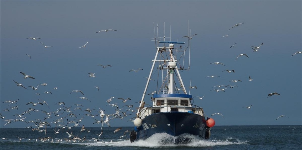 Pesca: da Portofino a Goro, tragedie che riaprono il nodo sicurezza....